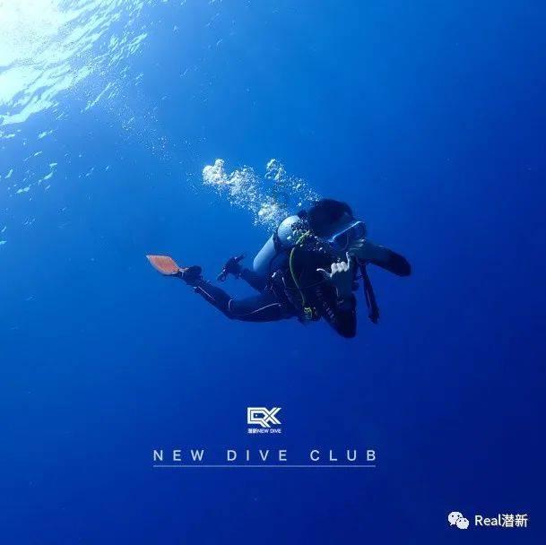 小猫钓鱼正版下载中文版